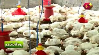 Bhoomigeetham | Rajesh talks about his poultry farming