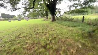 Ballinasloe Asylum burial ground first visit Aug 2021