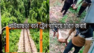 লাউয়াছড়া বনে ট্রেন থামিয়ে হরিণ জবাই করে নিয়ে গেলেন ট্রেনের চালক।