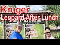 Kruger - Leopard After Lunch! Ep 699