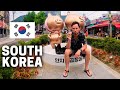 CRAZY! Stranger In Korea Lets Me Stay At His Home! (Bike Touring Korea #3)