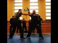 yigal arbiv israeli krav maga   gidon system worldwide seminars