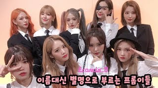 fromis_9 멤버들 이름으로 부르지 않고 별명으로 부르는 프로미스나인