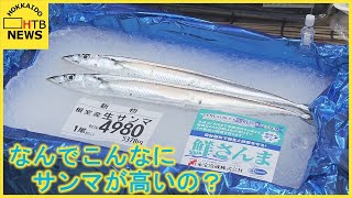 札幌　サンマ　一匹　４９８０円！　笑うしかない高額なサンマ　一体なぜこんなに高いのか？