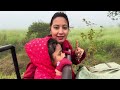 kaziranga national park safari assam plan your family trip with complete details 4k video हिन्दी