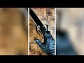 unboxing and review of the dalstrong frost fire fillet knife