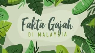 [INFOGRAFIK] Fakta Gajah Di Malaysia