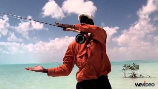 Belgian Cast Into Wind - Capt. Shawn Leadon - Bonefishing - Andros Island Bonefish Club