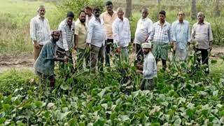 Narasapuram TDP Incharge Pothuri Ramajaneya Raju asked to Clean Gurapudekka In Saripalli