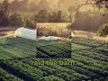 Anthony B - Raid The Barn (sped up)