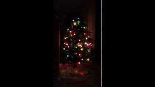 Christmas tree with blinking lights at night