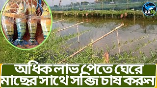 অধিক লাভ পেতে ঘেরে মাছের সাথে সব্জি চাষ করুন (Cultivate Fish \u0026 Vegetable  in Fish Gher More Profit)