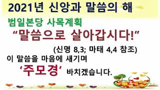 [범일성당교중미사] 2021/ 10 / 10 교구 수호자 묵주 기도의 복되신 동정 마리아 대축일