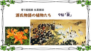 【194話】植物たちの「源氏物語」／ 9帖 葵【寄り道・脱線 生薬雑話】