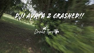 DJI AVATA 2 CRASHED !!