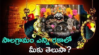 సాలగ్రామం ఎన్ని రకాలో మీకు తెలుసా? || Auspicious Salagramam || TFC Spiritual