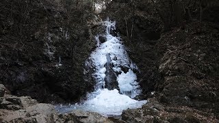 【氷爆】払沢の滝（日本の滝百選）