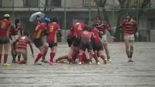 シャルマンvs鞘ヶ谷【準決勝】新人戦 中学ラグビー福岡県2014.11.30