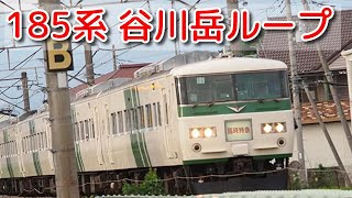 【最終章？ 185系 谷川岳ループ】走行風景！ 2024年6月8日 JR東日本井野駅付近