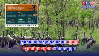 ក្រុមការងារអភិរក្សសត្វត្មាតកម្ពុជាបង្ហាញពីនិន្នាការវិជ្ជមានក្នុងការអភិរក្សសត្វត្មាត