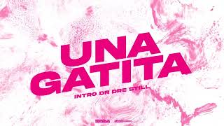 UNA GATITA (Intro Dr Dre Sill) (Edit Para DJS) - Cande Gariso \u0026 Damian Escudero [Bellakath - Gatita]