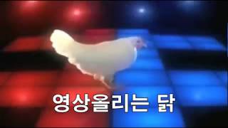 영상올리는 닭 :D 의 앞으로 사용할 인트로