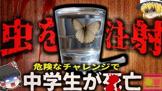 【2025年】『蝶を体内に注射し死亡』仲間に入るために危険なチャレンジ受けた中学生が死亡 虫をすり潰した汁を注射器で足に注入し…【ゆっくり解説】