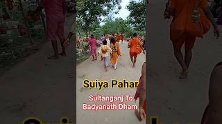 Har Har Shambhu Shambhu #mahadev #bolbamsong #mahakal #shivji #bolbam #kedarnath #shorts #shortvideo