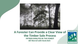 Fifteen Minutes in the Forest: A Forester Can Provide a Clear View of Your Forest, Part 2