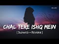 Chal Tere Ishq Mein (Slowed + Reverb) | Neeti Mohan, Vishal Mishra,Shehnaz-Sahil | Gadar 2 | SR Lofi