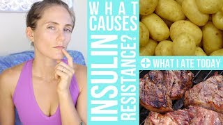 What Causes INSULIN RESISTANCE? + What I Ate Today for Healthy Insulin Levels