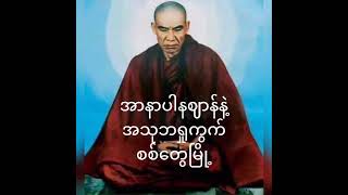 အသုဘရှုကွက်အလုပ်ပေးတရားတော် (စစ်တွေမြို့)