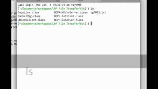 run UDP Echo server & client