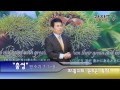 광장tv강단 화광교회 윤호균 목사