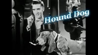Elvis Presley - Hound Dog  (The Steve Allen Show / July 1, 1956) 4K