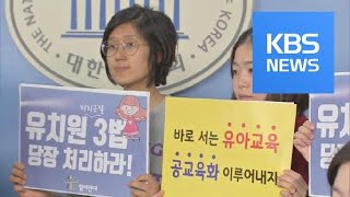 ‘유치원법’ 골든타임 놓치나…정부 “시행령이라도 조치” / KBS뉴스(News)