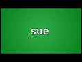 sue meaning