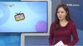 [고유경TV] 단풍의 계절 가을! 단풍이 드는이유 알려드립니다!