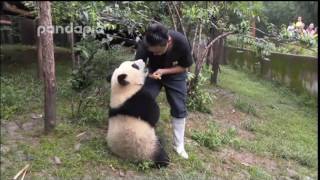 This is why you should love pandas!