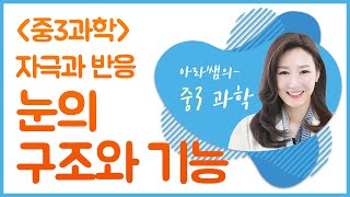 [아라쌤의 중3과학] 자극과 반응 - 눈의 구조와 기능, 시각 형성 과정