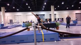 Metro  Gymnastics - Orlando, Florida