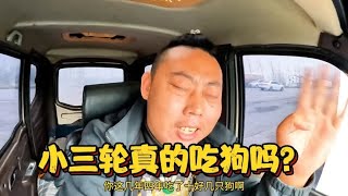 网上都说我吃狗，今天小三轮正面回应，看看说的对不对？