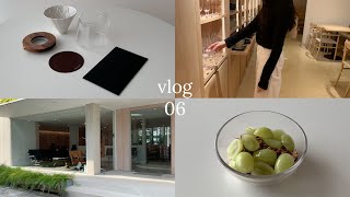 vlog 06 일상 브이로그 / drip coffee / holzklotz dripper \u0026 grinder / cafes (ENG)