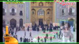 رضا متقی - Absolute Amazing Incident Ya Imam Reza - امام رضا