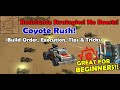 Coyote Rush! : AOW3 : Strategies