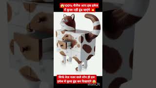 यहां एक बिल्ली नजर आ रही है आप कुता दिखाएं 🦮 😻#funny #viral #cat #dog #youtuber #youtubeshort