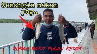 🔴Trip Mancing Kelong Ah Kang Pulau Ketam Selangor #mancingkelong #rumahrakit #kelongpulauketam