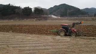 얀마트랙터(YANMAR)+대원8련쟁기논갈이작업2탄