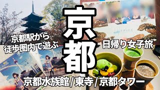 【京都駅周辺で1日観光！】京都水族館/東寺/京都タワー/京都駅から徒歩圏内で遊べるおすすめコース【日帰り女子旅】