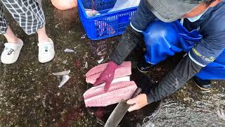 粉鳥林漁港 漁工支援生魚片切法 Fisher support for cutting the fish for sashimi, 定置漁場 seafood fishport fishground